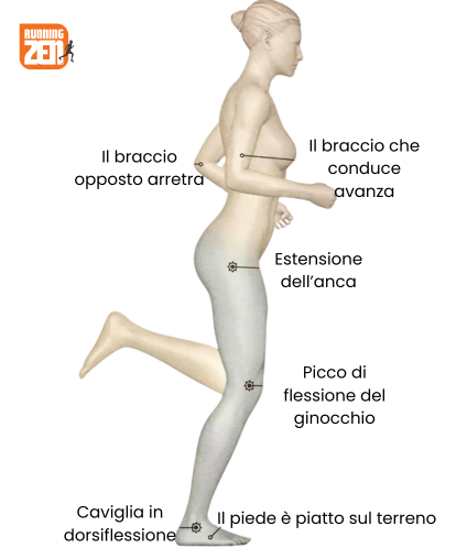 Appoggio
